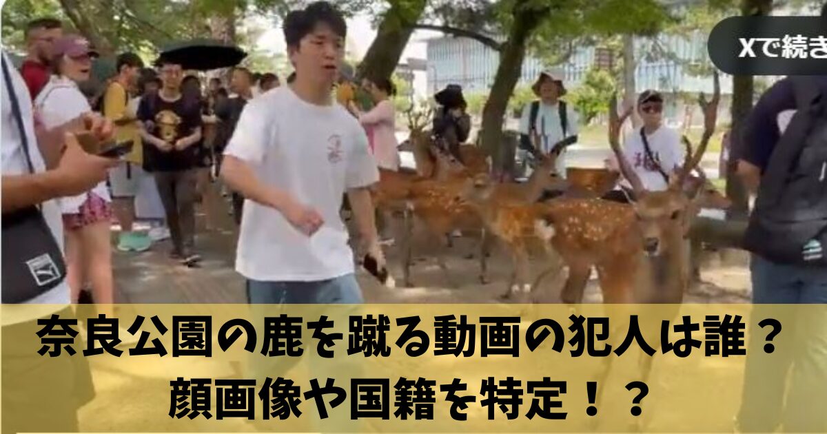 奈良公園の鹿を蹴る動画の犯人は誰？顔画像や国籍を特定！？