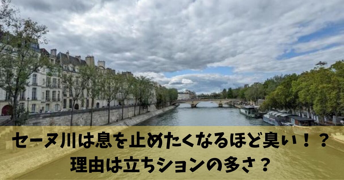 セーヌ川は息を止めたくなるほど臭い！？理由は立ちションの多さ？